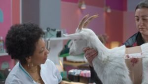 Old Dog, New Tricks: 1×7